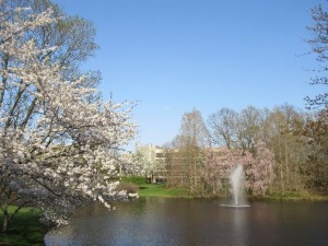 Back at the site of Dyalog ’07 and Dyalog ’09 – the Crowne Plaza in Princeton, New Jersey