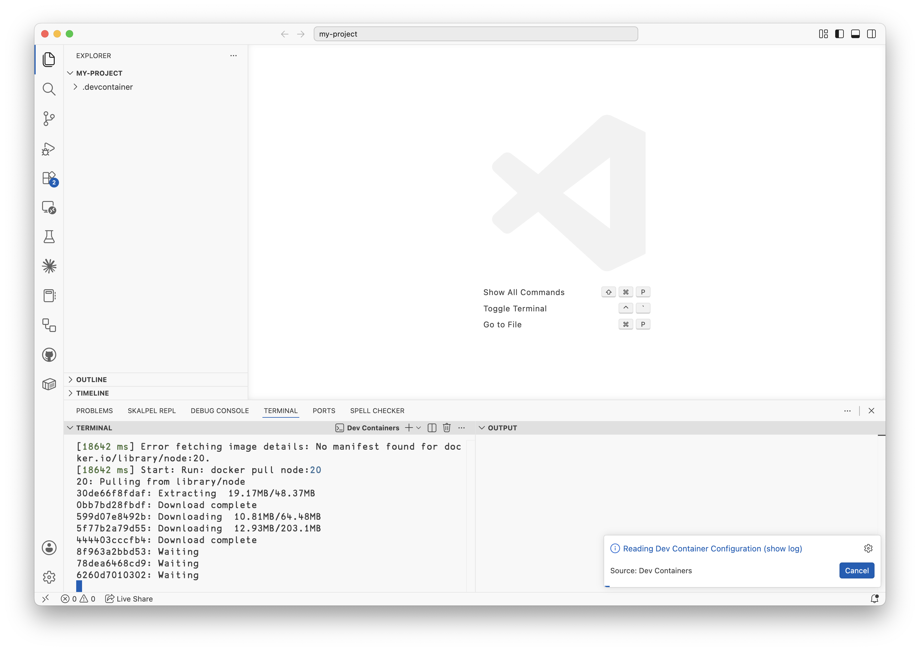 First open of dev container