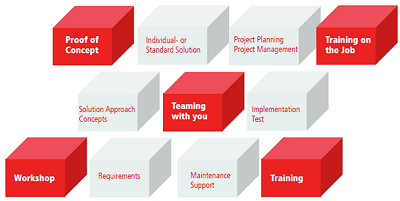 Dittrich and Partner Consulting – Services Model