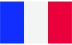 France French flag